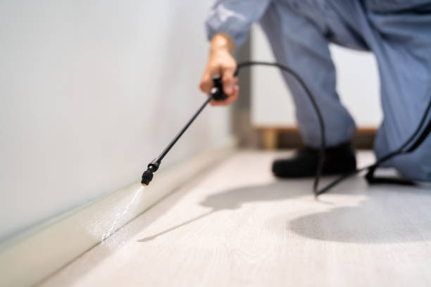 Licensed Pest Control service in North Muskegon, MI - Show Me Pest Control