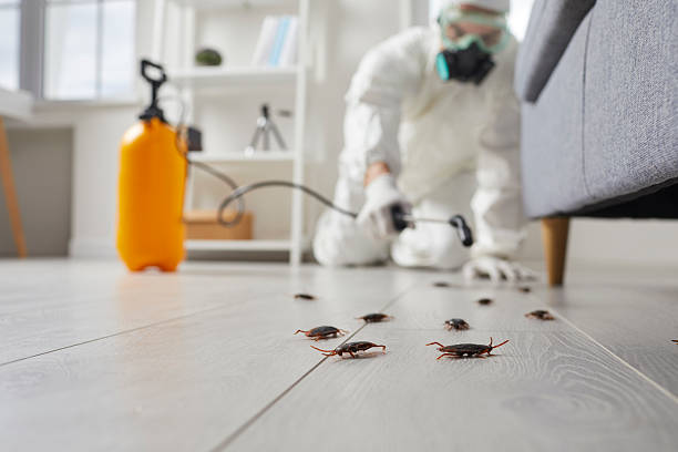 Post-Treatment Bed Bug Interceptor Monitoring in North Muskegon
