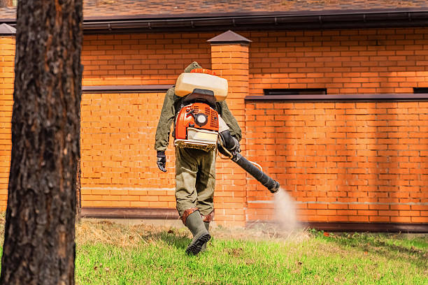 Bed Bug Clearance Verification and Documentation in North Muskegon